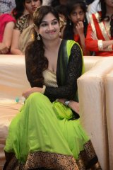 Race Gurram Movie Audio Launch